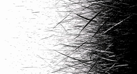 Fototapeta premium Abstract Dynamic Black and White Grunge Brush Strokes Texture Background with Energetic Streaks and Splatter Effects