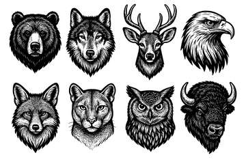 Fototapeta premium Wildlife portraits: majestic animal heads in detailed black and white art