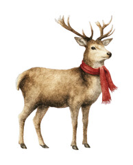 Fototapeta premium PNG Majestic deer wearing red scarf.