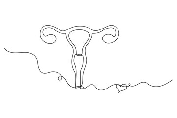 women's uterus continuous one line drawing of outline vector illustration
