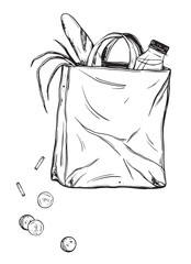 Sketch of a paper bag with groceries. Hand-drawn ink vector illustration of a store bag and money. Linear graphic elements for grocery store design, isolated on a white background.