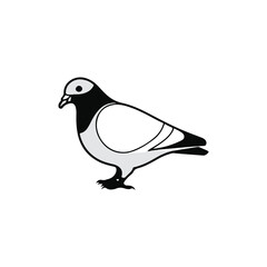 create a vector style simple pigon white background.
 
