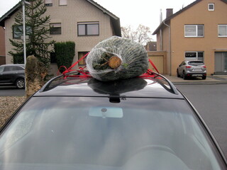 Weihnachtsbaum auf einem Autodach