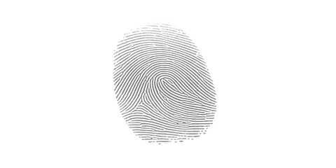 Unique human fingerprint identification security scan technology data isolated on white background