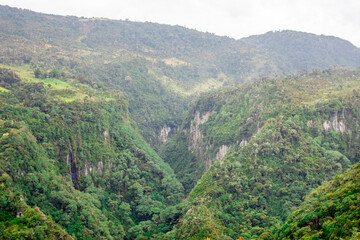 Breathtaking view of the lush valleys in Purace, Cauca, Colombia, showcasing vibrant native flora in a stunning natural landscape.