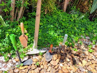 Variety of gardening tools at garden