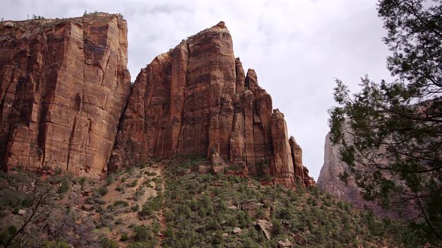 Vertical Sandstone Wall with Desert Vegetation Zion