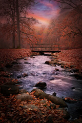 A stream flows softly in the autumnal park.