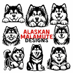 Black and white vector illustration set of husky dogs drawn in a clean minimal line art style.