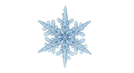 Magnificent single ice crystal snowflake with intricate hexagonal structure, macro detailed view, perfect for winter themes