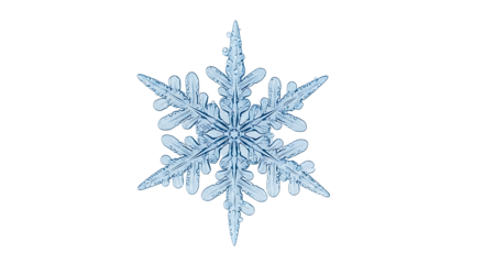 Magnificent single ice crystal snowflake with intricate hexagonal structure, macro detailed view, perfect for winter themes