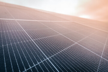 Detailed macro image of a solar panel showing individual photovoltaic cells and fine grid lines, captured in soft natural lighting.