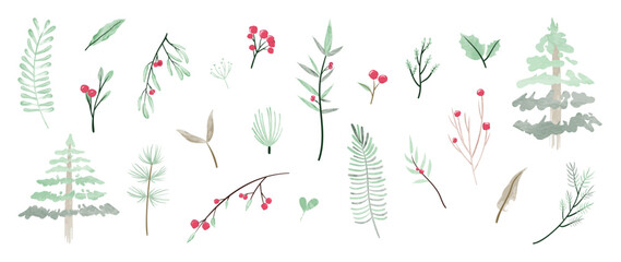 Winter botanical watercolor vector illustration with pinecones, holly leaves, berries, and mistletoe in soft green, blue and red tones. Design for greeting cards, packaging and fabric. © TWINS DESIGN STUDIO
