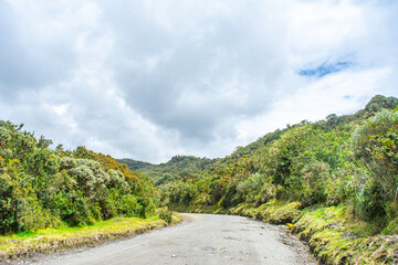 A picturesque view of a winding road surrounded by lush vegetation in Puracé, Cauca, Colombia, showcasing the region's natural beauty.