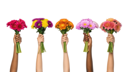 Diverse hands holding vibrant flower bouquets, celebrating joy isolated on white background