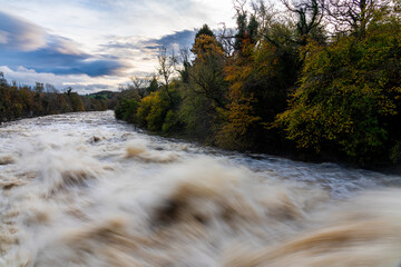 Powerful water flow at Aysgarth Falls surrounded by autumn woodland
