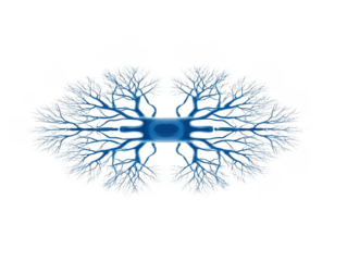 Symmetrical blue tree branches form abstract pattern on transparency background, resembling neural networks or organic fractals, evoking sense of calm and complexity in nature inspired digital art