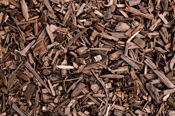 Wood Shavings and Chip Mulch Texture Background, Top View of Brown Wood Waste and Sawdust
