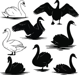  create a set of swans vector art silhouette with white background