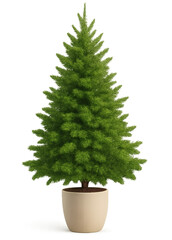 Green Christmas Tree in Ceramic Pot &mdash; Realistic Evergreen Holiday Decoration Transparent PNG for Winter Festive Design, Home Decor, and Seasonal Interior Illustration Projects