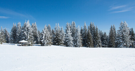Ski resort Pamporovo in the Rhodopes mountains in Bulgaria