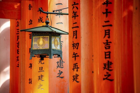 Lantern between red torii gates, hundreds of red traditional torii gates, Fushimi Inari-taisha, Shinto shrine, Fushimi Inari-taisha Okusha Hohaisho, Kyoto, Japan