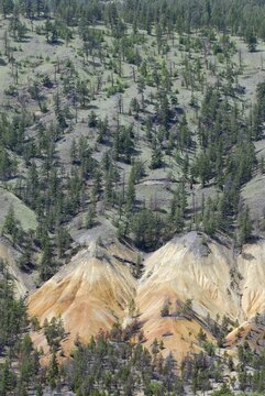 Dry, colorful mountain slopes near Cache Creek, British Columbia, Canada