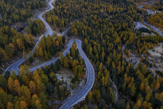 Mountain landscape, road, curvy, serpentines, larch forest, autumn, autumn discoloration, aerial view, Montebello curve, Morteratsch, Engadin, Switzerland