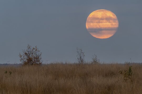 Full moon, super moon over the moor, Emsland, Lower Saxony, Germany