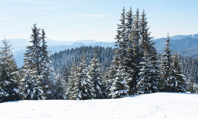 Ski resort Pamporovo in the Rhodopes mountains in Bulgaria
