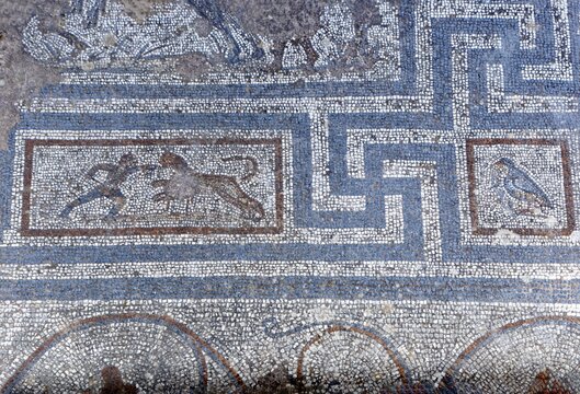 Mosaic, gladiator with knife fighting with lion, falcon, bird, ornament, ancient excavation site Agora, also market district agora or harbor district agora, excavations from 1934-1942, Kos town, island of Kos, Dodecanese islands, Greece, eastern Adriatic, Mediterranean