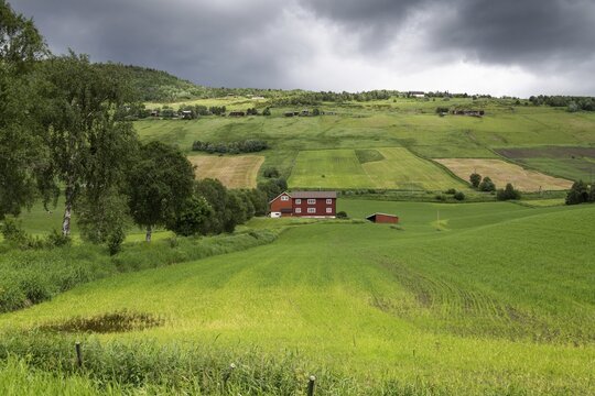 Bauernhof inmitten von Felder, &uuml;ppiges Budsjord, Dovre, Gudbrandsdalen oder Gudbrandstal, Norwegen