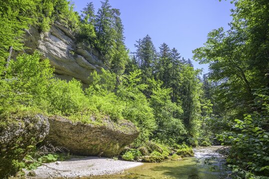 Wanderung entlang der Krummen Steyrling, Molln, Ober&ouml;sterreich, &Ouml;sterreich
