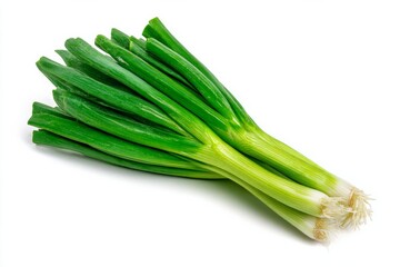 vegetable concept with a copy space