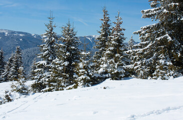 Ski resort Pamporovo in the Rhodopes mountaines in Bulgaria