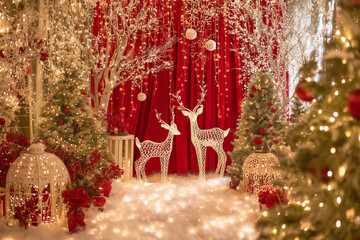 Christmas photoshoot backdrop