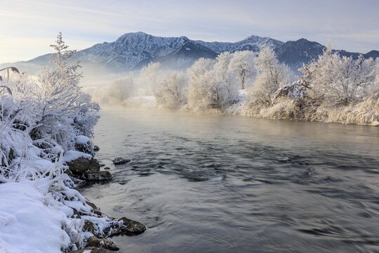 River and trees in hoarfrost in front of mountains, winter, Loisach, view of Herzogstand and Heimgarten, Alpine foothills, Upper Bavaria, Bavaria, Germany