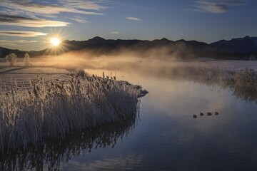River at sunrise in front of mountains, winter, Ach estuary, Uffing, Alpine foothills, Upper Bavaria, Bavaria, Germany