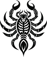 scorpion tattoo on white background