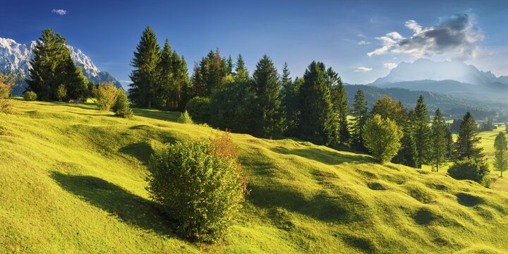 Humpback meadows between Mittenwald and Kr&uuml;n, Werdenfelser Land, Upper Bavaria, Bavaria, Germany