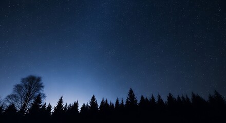 Silhouette of trees under a starry night sky in a serene, dark landscape