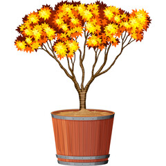 Autumn Tree In Wooden Pot With Transparent Background And Yellow Orange Leaves