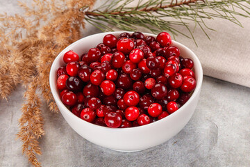 Ripe sweet sour cranberry heap