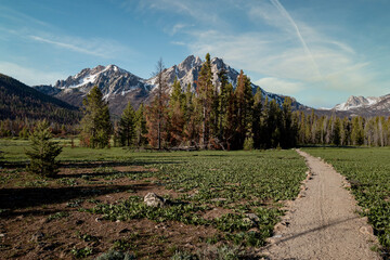 Beautiful walking trail in the Idaho wilderness