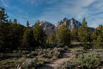 Rocky trail leads through sagebrush towards the mountains