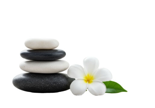 Polished zen stones (charcoal to white) perfectly stacked with a white plumeria on rustic wood, transparent background, blurred green foliage. Serene natural balance concept