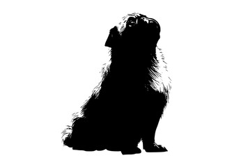 a black and white silhouette of a dog sitting, looking upanimal, black, dog, floor, profile, sit 