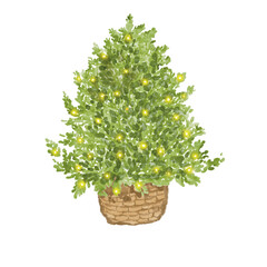 watercolor Christmas tree clipart. It features festive in a watercolor style. Ideal for creating kids, aesthetic prints, invitations, cards, packaging, branding, web sites, social media, pattern etc.