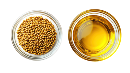 Mustard seeds and mustard oil in glass bowls isolated on transparent background