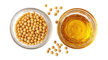 Soybeans and soybean oil in glass bowls isolated on transparent background